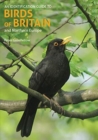 An Identification Guide to Birds of Britain and Northern Europe (2nd edition) - Book