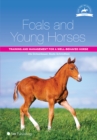 Foals and Young Horses: Training and Management for a Well-behaved Horse - eBook