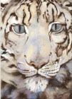 Jackie Morris Poster: Snow Leopard, The - Book