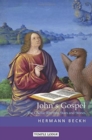 John's Gospel : The Cosmic Rhythm, Stars and Stones - Book