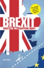 Brexit: What the Hell Happens Now? - eBook