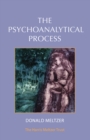 The Psychoanalytical Process - eBook