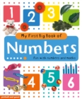 My First Big Book of Numbers - Book