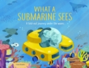 What a Submarine Sees : A fold-out journey under the waves - eBook