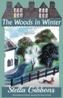 The Woods in Winter - eBook