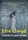 Eira Llwyd - eBook