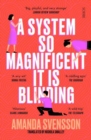 A System So Magnificent It Is Blinding : longlisted for the International Booker Prize - Book