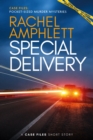 Special Delivery - eBook