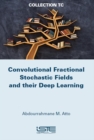 Convolutional Fractional Stochastic Fields and their Deep Learning - eBook