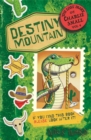The Lost Diary of Charlie Small Volume 4 : Destiny Mountain - eBook