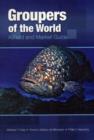 Groupers of the World : A Field and Market Guide - Book
