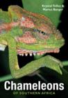Chameleons of Southern Africa - eBook