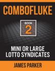 Combofluke Book 2 : Mini or Large Lotto Syndicates - eBook