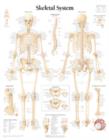 Skeletal System Paper Poster - Book
