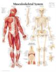 Musculoskeletal System Paper Poster - Book