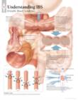 Understanding IBS Laminated Poster - Book