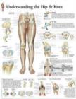 Understanding the Hip & Knee Laminated Poster - Book
