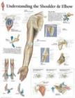 Understanding the Shoulder & Elbow Paper Poster - Book