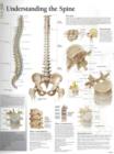 Understanding the Spine Paper Poster - Book