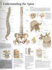 Understanding the Spine Laminated Poster - Book