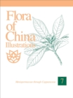 Flora of China Illustrations, Volume 7 - Menispermaceae through Capparaceae - Book