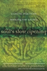 The Soul's Slow Ripening : 12 Celtic Practices for Seeking the Sacred - eBook