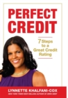 Perfect Credit: 7 Steps To A Great Credit Rating - eBook