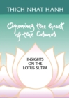 Opening the Heart of the Cosmos - eBook