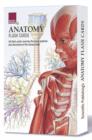 Anatomy Flash Cards - Book