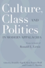 CULTURE, CLASS, AND POLITICS IN MODERN APPALACHIA : ESSAYS IN HONOR OF RONALD L. LEWIS - eBook