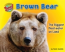 Brown Bear - eBook