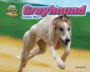Greyhound - eBook
