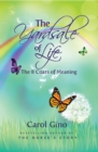 The Yardsale of Life : The Eight Coats of Meaning - eBook