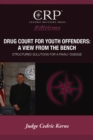 Drug Court for Young Offenders: A View from the Bench - eBook