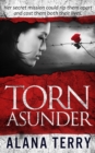 Torn Asunder - eBook
