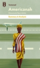 Americanah : by Chimamanda Ngozi Adichie | Summary & Analysis - eBook