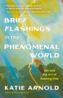 Brief Flashings in the Phenomenal World - Book