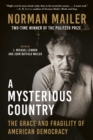 A Mysterious Country : The Grace and Fragility of American Democracy - eBook
