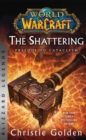 World of Warcraft: The Shattering - Prelude to Cataclysm : Blizzard Legends - eBook