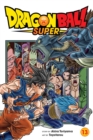 Dragon Ball Super, Vol. 13 - Book