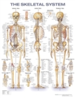 The Skeletal System Anatomical Chart - Book