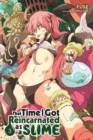 That Time I Got Reincarnated as a Slime, Vol. 3 (Light Novel) - Book