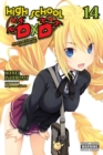 High School DxD, Vol. 14 (light novel) - Book