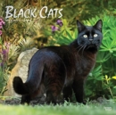 BLACK CATS 2022 SQUARE FOIL - Book