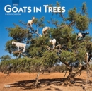 GOATS IN TREES 2022 SQUARE - Book