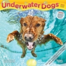 UNDERWATER DOGS 2022 MINI 7X7 - Book