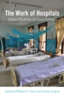 The Work of Hospitals : Global Medicine in Local Cultures - eBook