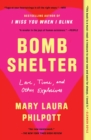 Bomb Shelter : Love, Time, and Other Explosives - eBook