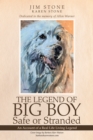 The Legend of Big Boy Safe or Stranded : An Account of a Real Life Living Legend - eBook