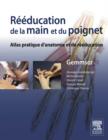 Reeducation de la main et du poignet : Anatomie fonctionnelle et techniques - eBook